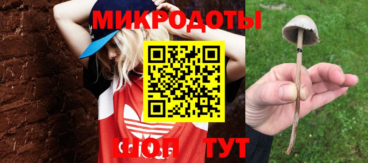 Псилоцибиновые грибы Cubensis  Вход с VPN  где продают наркотики  Курчатов  Галлюциногенные грибы прущие грибы 
